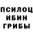 Псилоцибиновые грибы мицелий Retropaintball clips