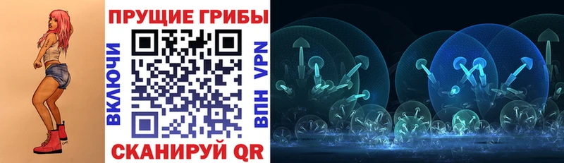 Галлюциногенные грибы Magic Shrooms  Купить  Петровск-Забайкальский 
